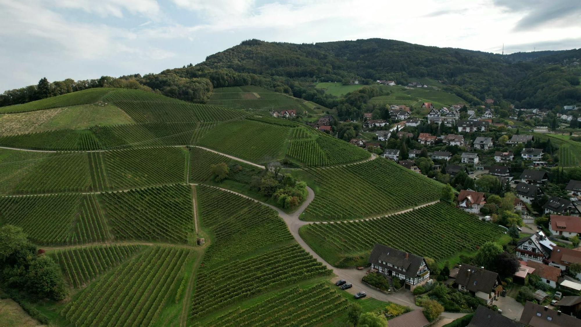 Renatas Ferienwohnung Sasbachwalden Esterno foto